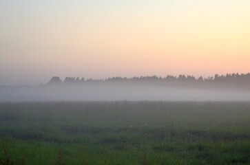 Obraz premium A beautiful panoramic view of a vast grassy field covered in a heavy layer of white mist. Silhouettes of a distant forest stand under a soft gradient twilight sky at sunrise or dusk.