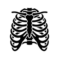 Human rib cage bones and spine skeleton illustration editable eps © Md