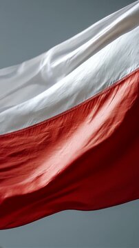 poland polish flag waving on grey background