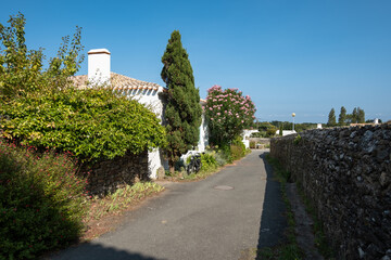 Ruelle pittoresque et maisons blanches traditionnelles aux volets colorés dans le village de Saint-Sauveur, Île d'Yeu, France. © skerdreux