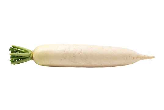 Daikon radish with green stems, fresh white radish root, organic oriental vegetable isolated PNG with Transparent Background
