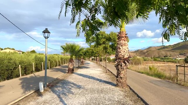 POV walking forward along scenic gravel trail with palm trees olive trees and mountains background