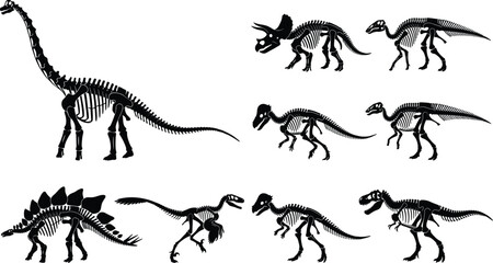 Dinosaur Skeleton Silhouette Collection Featuring Sauropod Stegosaurus and Theropod Fossils © MDSAMEUL