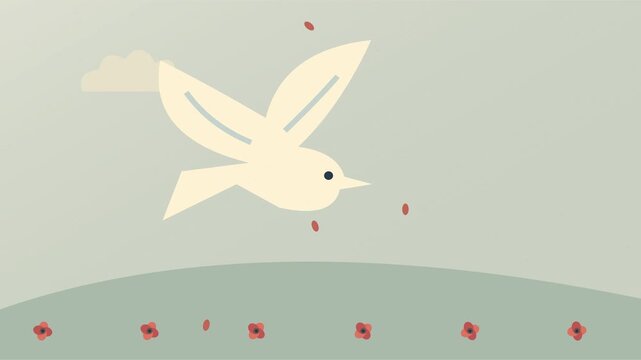Colombe blanche volant au-dessus d&rsquo;une prairie avec p&eacute;tales de coquelicot