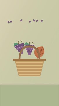 Grappes de raisin violet se d&eacute;pla&ccedil;ant dans un panier de r&eacute;colte tress&eacute;