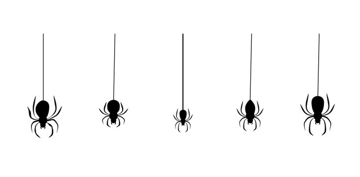 Halloween Spider Web Collection with Spooky Cobweb Elements Vector