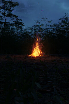 3D rendering of a brightly glowing campfire with sparks in a forest clearing at night