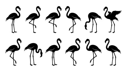 Obraz premium Set of flamingo silhouettes in various poses, collection of tropical birds