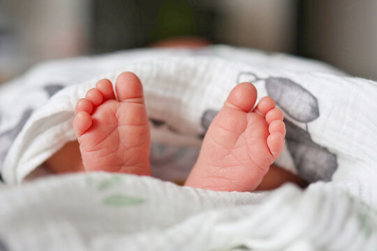 Close-up of tiny newborn feet wrapped in a soft muslin blanket. Concept of tender newborn care.