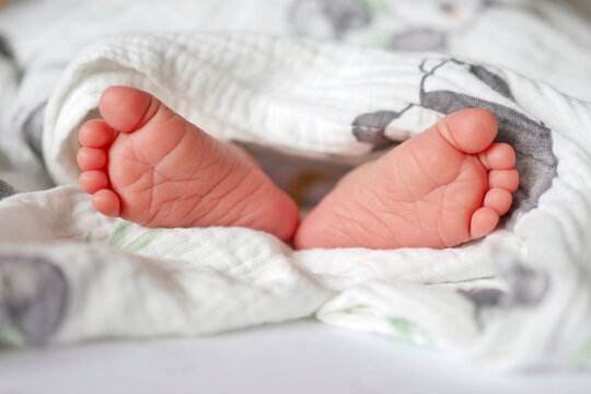 A pair of newborn feet resting in a cozy muslin swaddle.
Concept of gentle newborn comfort.