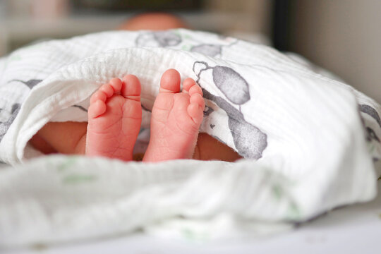 Tiny newborn feet peeking from a soft muslin blanket.
Concept of newborn warmth and tenderness.