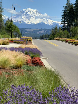 A stunning vertical landscape of a paved road leading the eye toward the majestic, snow-capped peak of Mount Rainier in Washington.
