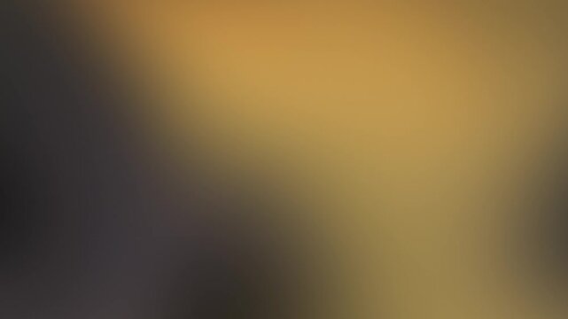 Dark gold and yellow liquid gradient motion background loop
