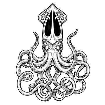 Intricate black and white line art illustration of a kraken squid with detailed tentacles sea creature tentacle nautical