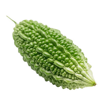 Fresh bitter melon isolated on transparent background
