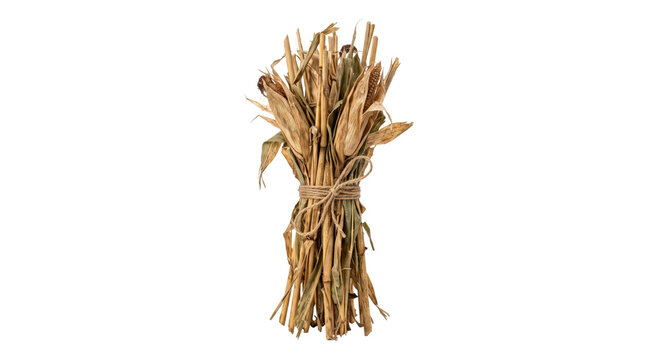 A rustic bundle of dried corn stalks and husks tied together with natural jute twine string