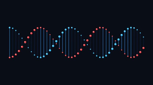 Three dimensional molecular DNA double helix strand rotating with glowing bonds, biotechnology video loop.