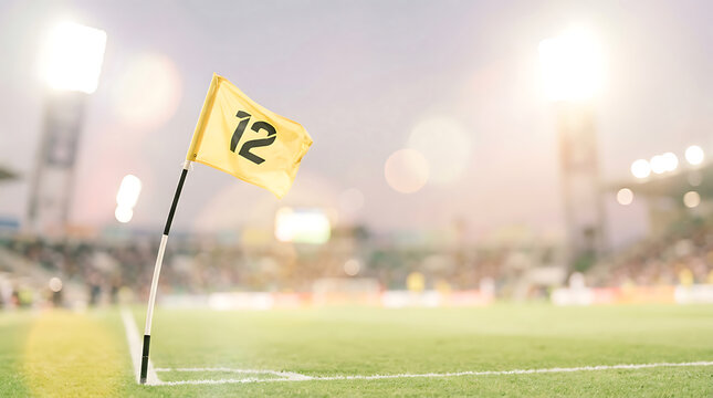 Soccer corner flag twelve on green grass field during game
