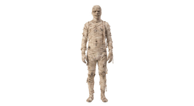 Full body shot of a person dressed in a realistic ancient Egyptian mummy costume for Halloween