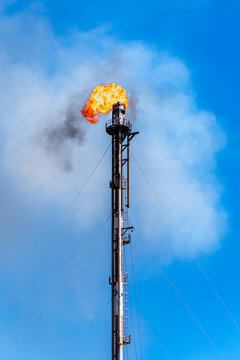 Oil refinery flare stack with a huge flame burning gas