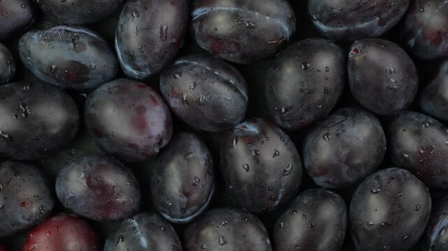 Closeup of fresh, ripe plums, top view 