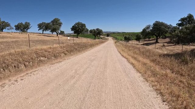 Via de la Plata, dirt road through farmland between El Carrascalejo and Aljuc&eacute;n, comarca of Tierra de Merida - Vegas Bajas, province of Badajoz, Extremadura, Spain