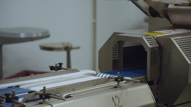 Meat processing plant conveyor, meat processing plant, meat processing, meat workshop, meat factory