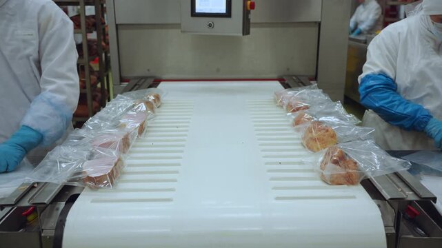 Meat processing plant conveyor, meat processing plant, meat processing, meat workshop, meat factory