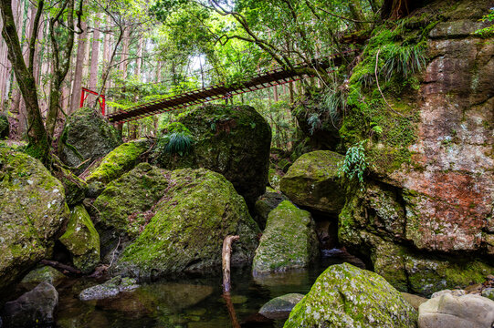 苔むした巨岩と渓谷に架かる赤い吊り橋の自然景観