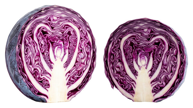 Red cabbage halves with layered interiors on transparent background