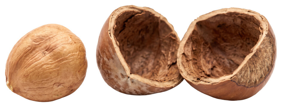 Whole and opened hard-shelled nuts on transparent background