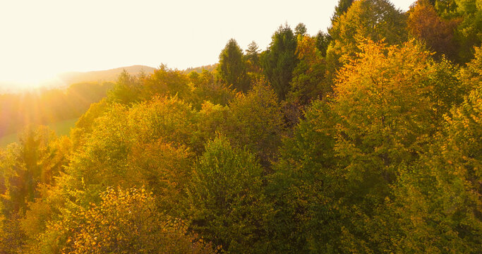 AERIAL, LENS FLARE: First rays of rising sun gently spill over forested hills. Vibrant autumn foliage creates a colourful mosaic throughout the landscape and glows in the warm early morning light.