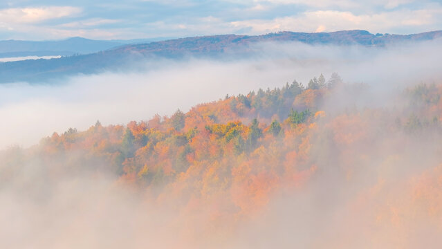 AERIAL: Layers of wooded hills fade into pale morning mist, while warm autumn colours glow through the haze. Dreamlike view of distant ridges rolling across the Dolenjska countryside in fall season.