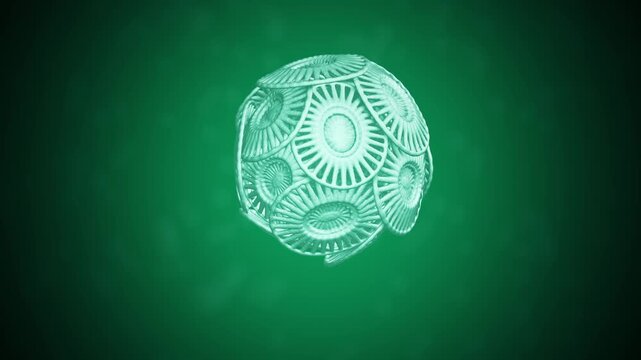 Animated closeup of a plankton coccolithophore rotating slowly