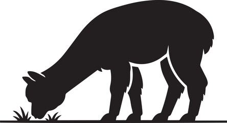 Fototapeta premium A minimalist black and white graphic design featuring a grazing alpaca in a clean artistic silhouette