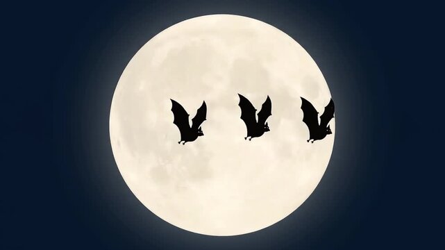 Silhouette Bats Flying Across a Full Moon Animation