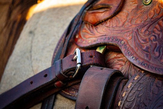 closeup of cinch and leather straps on western saddle