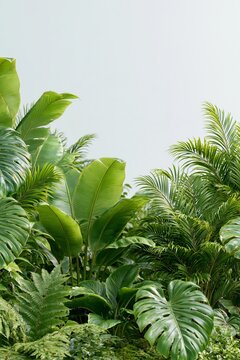 Lush tropical foliage with monstera, banana leaves, palms and ferns framing a large clean copy space