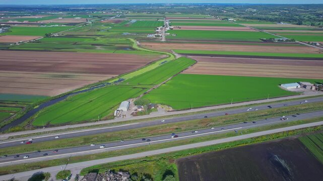 Holland Marsh is known as the heart of Canada's vegetable industry. It produces carrots onions celery lettuce potatoes parsnips cabbage cauliflower beets and a wide variety of Asian vegetables.