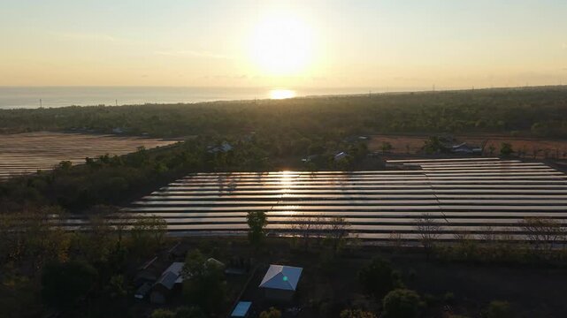 Golden sun dips over tranquil coastal fields. Rows of solar panels gleam in fading light. Trees and distant homes frame the scene. Vast energy landscape meets natural beauty