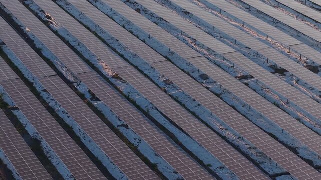 Rows of solar panels stretch across vast, open fields. Sunlight glints off each panel's surface. Grids follow precise, orderly lines. Silent machines absorb energy from sky. Ideal for clean energy