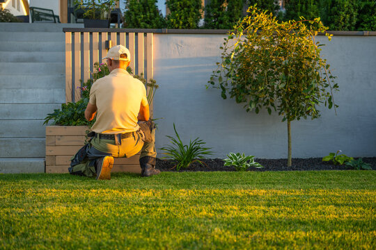 Rear view of gardener kneeling beside a flower bed