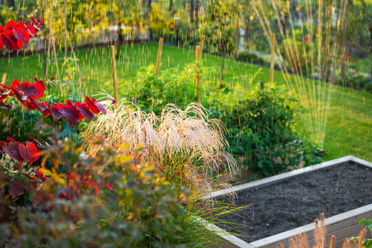 Water spray over ornamental grasses and raised beds