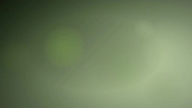 bokeh orbs background with soft glowing translucent circles, electric lime palette, seamless loop