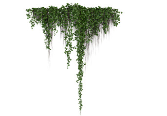Lush green ivy vines hanging down with creeping stems and leaves, isolated on transparent background. Perfect for architectural visualization, natural frames, and graphic design. © Virgo Oktaviano
