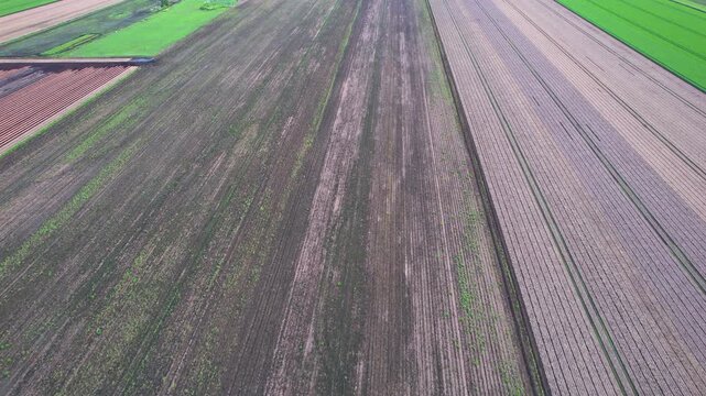 Aerial view of agricultural farms and crops fields. Agricultural landscapes from above. Soil with planted vegetables. Planting rows of crops for harvesting. Designated Specialty Crop Area.
