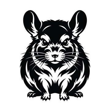 Black and white chinchilla head portrait rodent animal