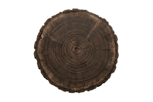 Dark circular tree ring cross section of a log on black background