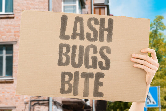 "Lash bugs bite" Tiny creatures cause itching and redness. LASH. BUGS. BITE. TINY. CREATURES.