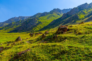 Fototapeta premium Sunlit mountain slope with rocks under clear blue sky